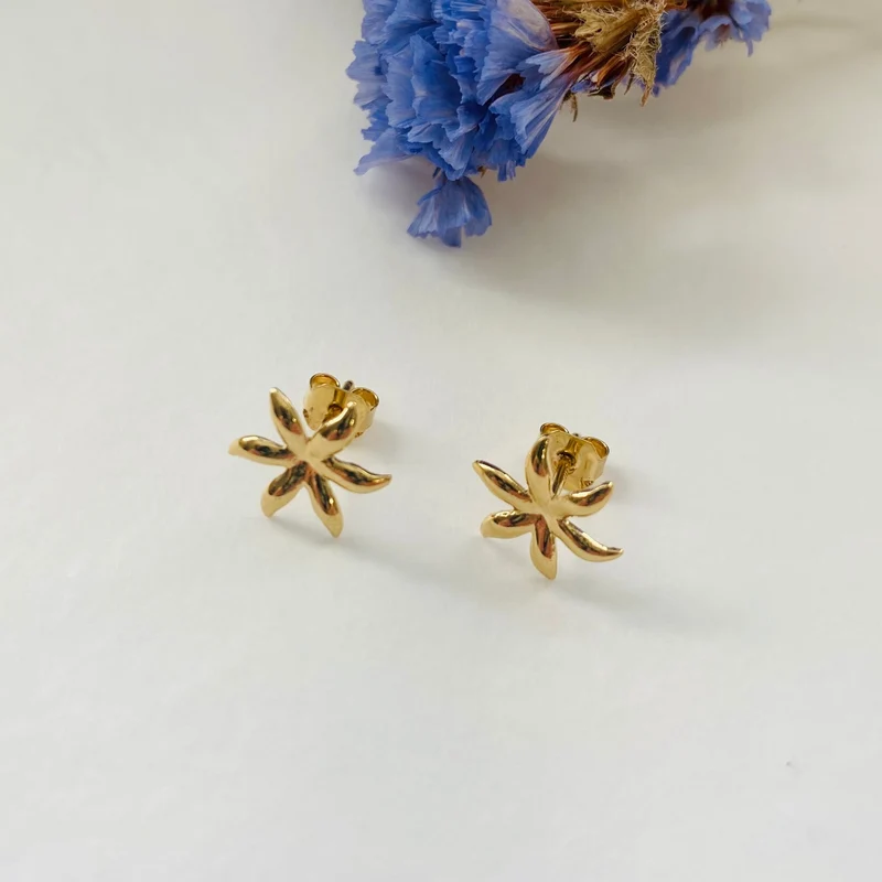 Puces d'oreilles dorées étoile Tessa