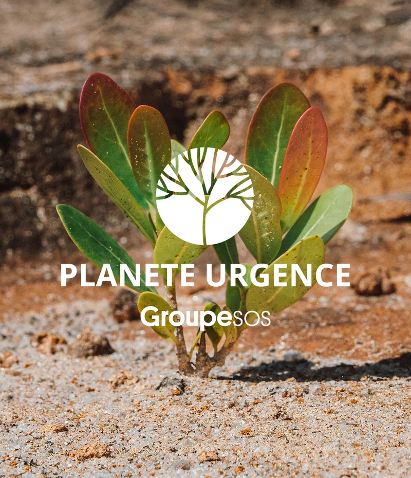 1 euro = 1 arbre planté