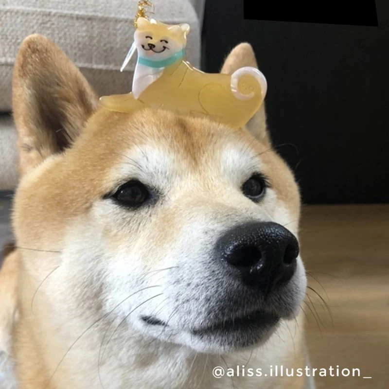 Pince à cheveux Shiba