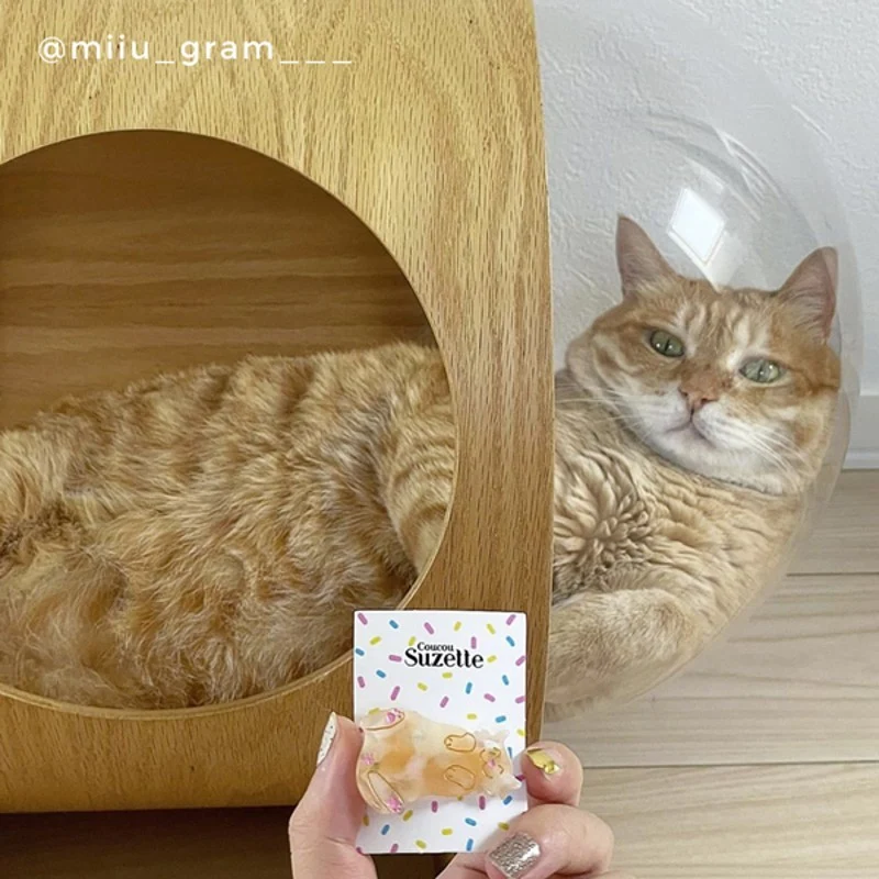 Barrette Chat Roux