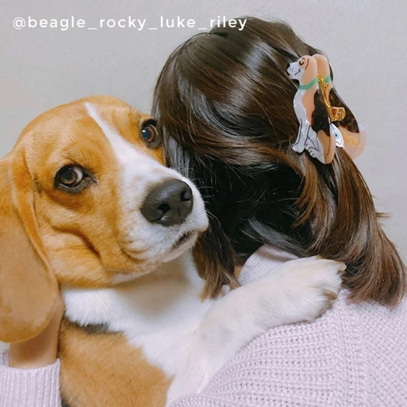 Pince à cheveux Beagle