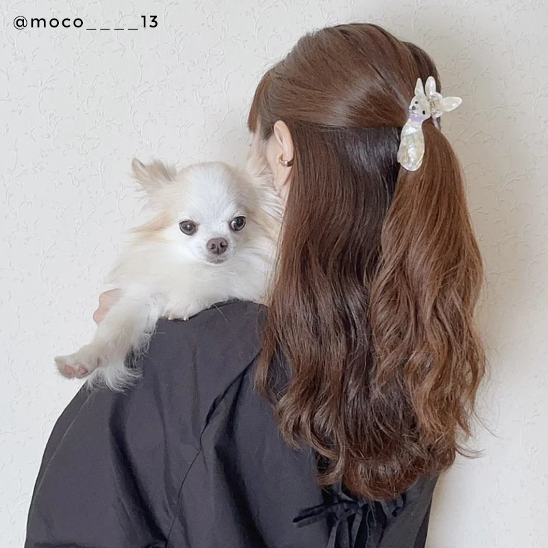 Pince à cheveux Chihuahua