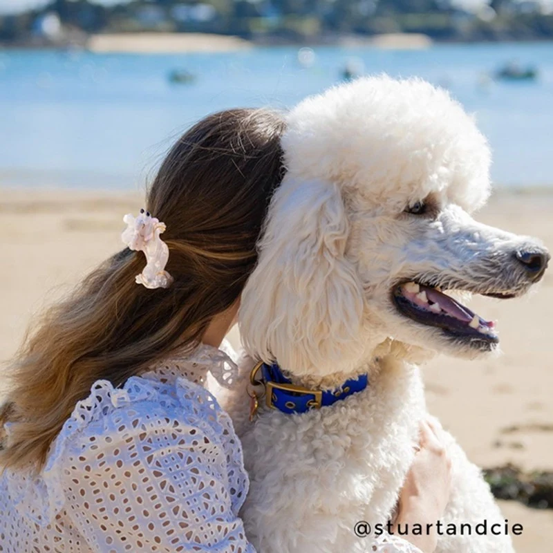 Pince à cheveux Caniche