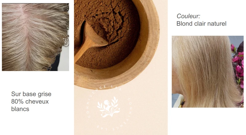 Coloration Végétale Blond Clair Naturel