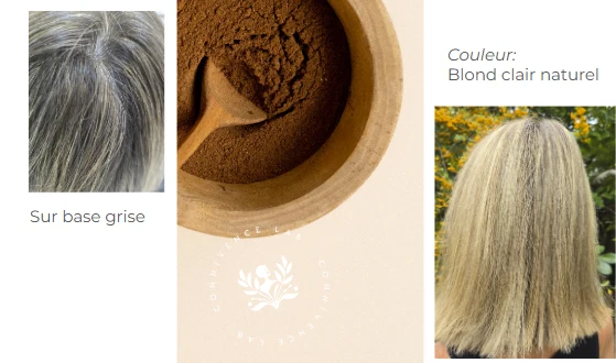 Coloration Végétale Blond Clair Naturel