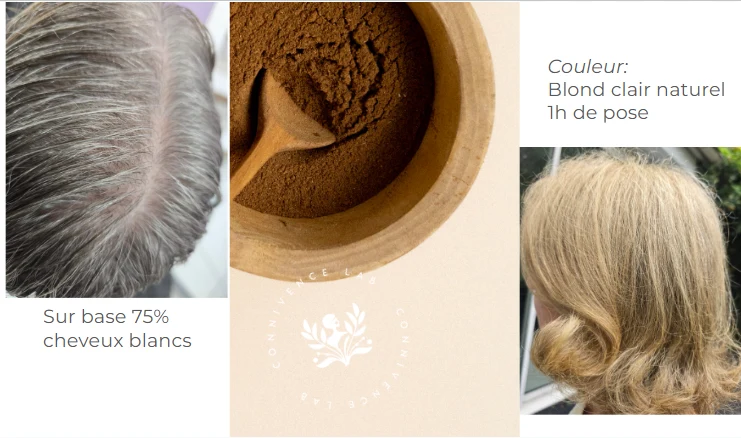 Coloration Végétale Blond Clair Naturel