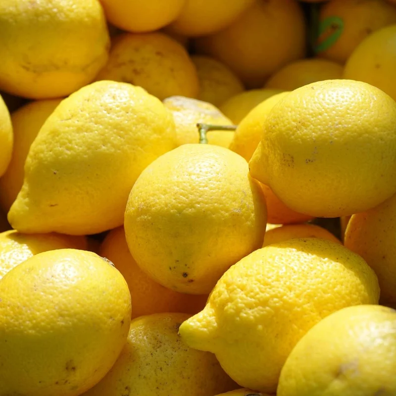 Déodorant Bille Fraîcheur - Parfum Verveine-Citron