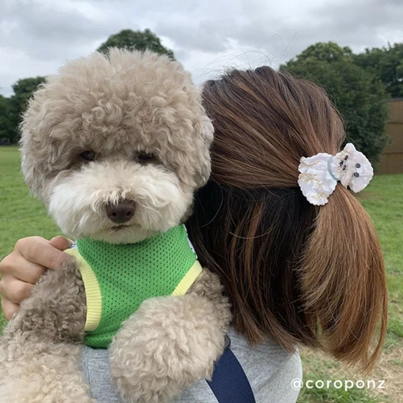 Pince à cheveux Bichon