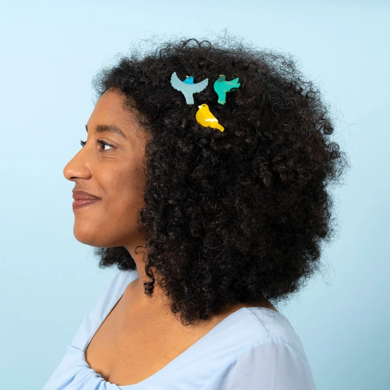 Barrette Canari
