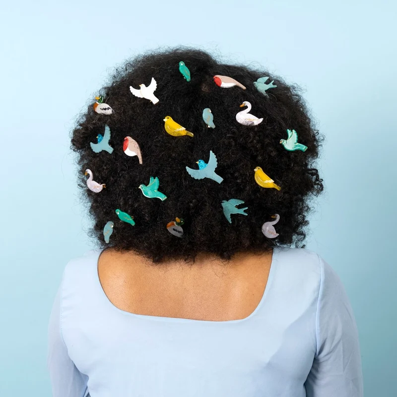 Barrette Canari