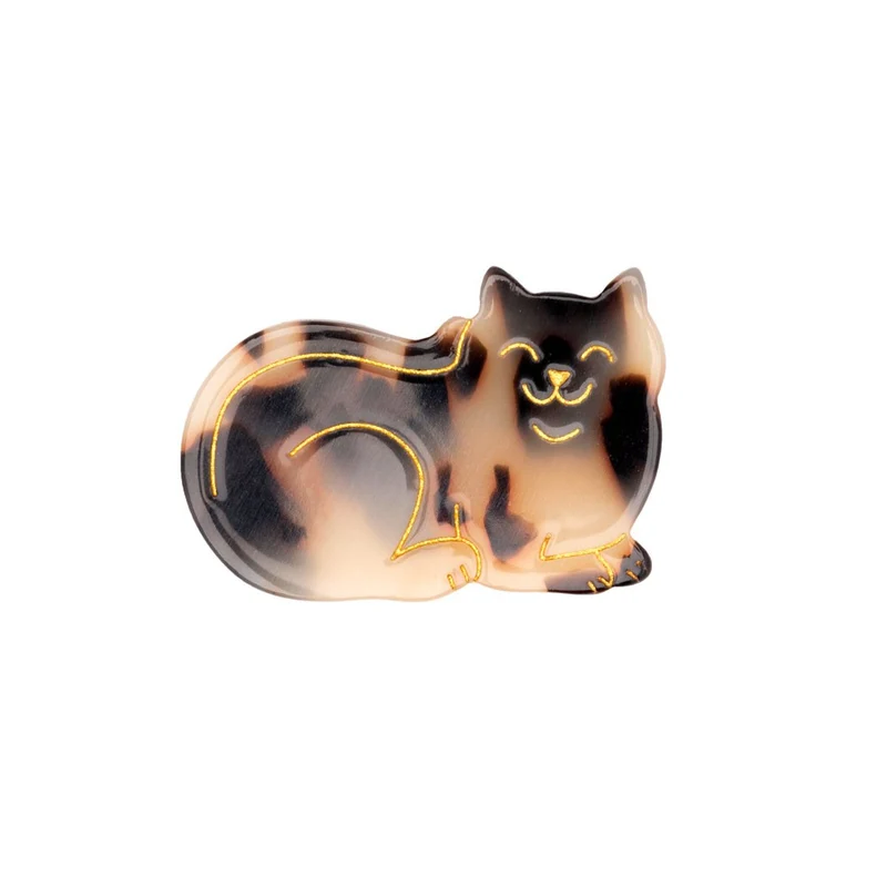 Barrette Chat de Gouttière