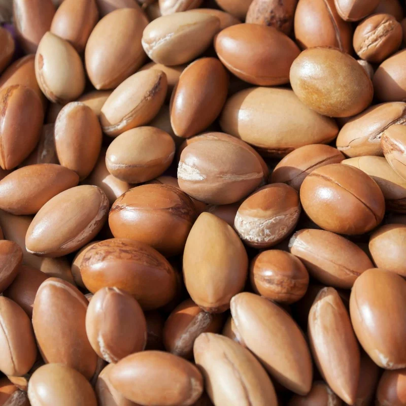 Lait Corps Nourrissant Peaux Sèches