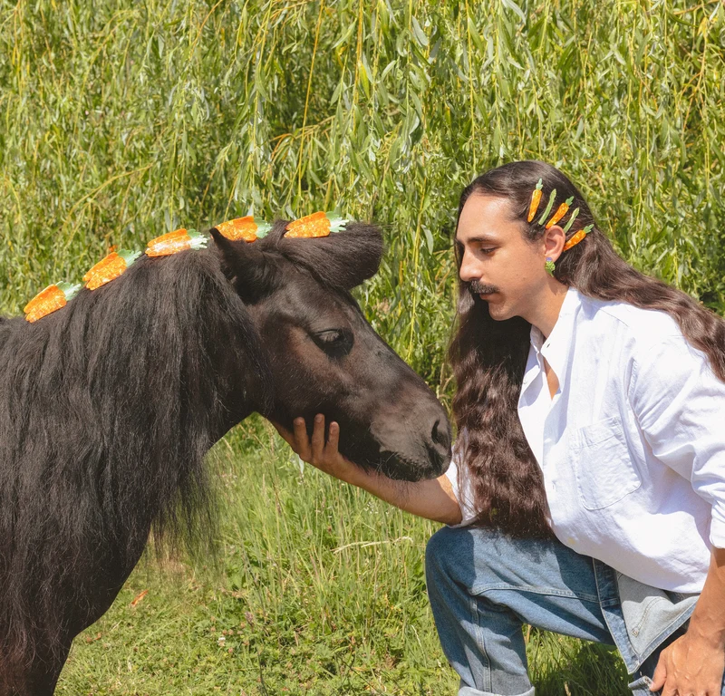 Pince à cheveux Carotte