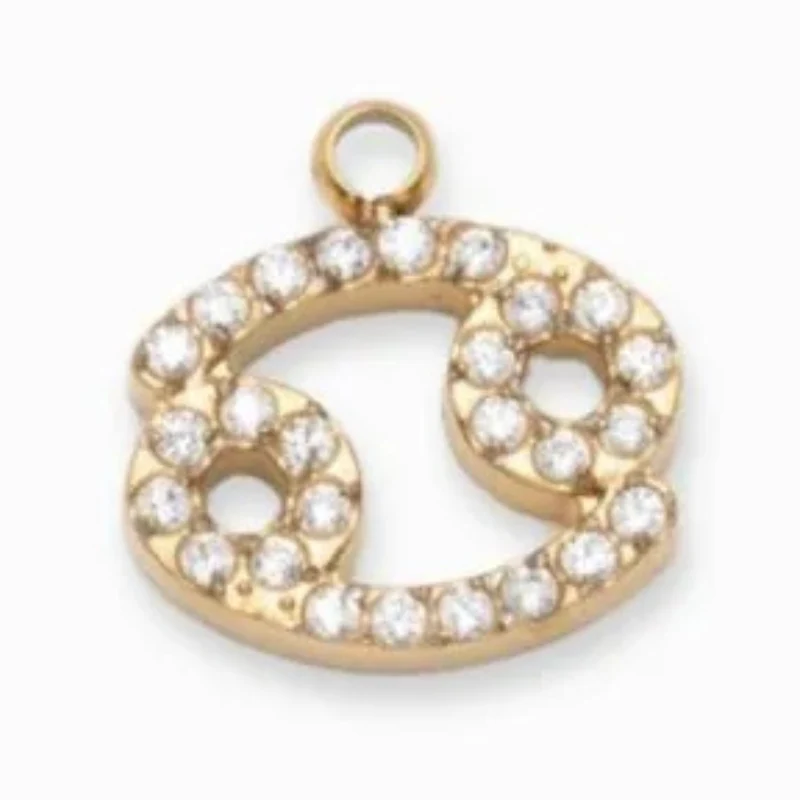 Charms "Signes astrologiques" acier