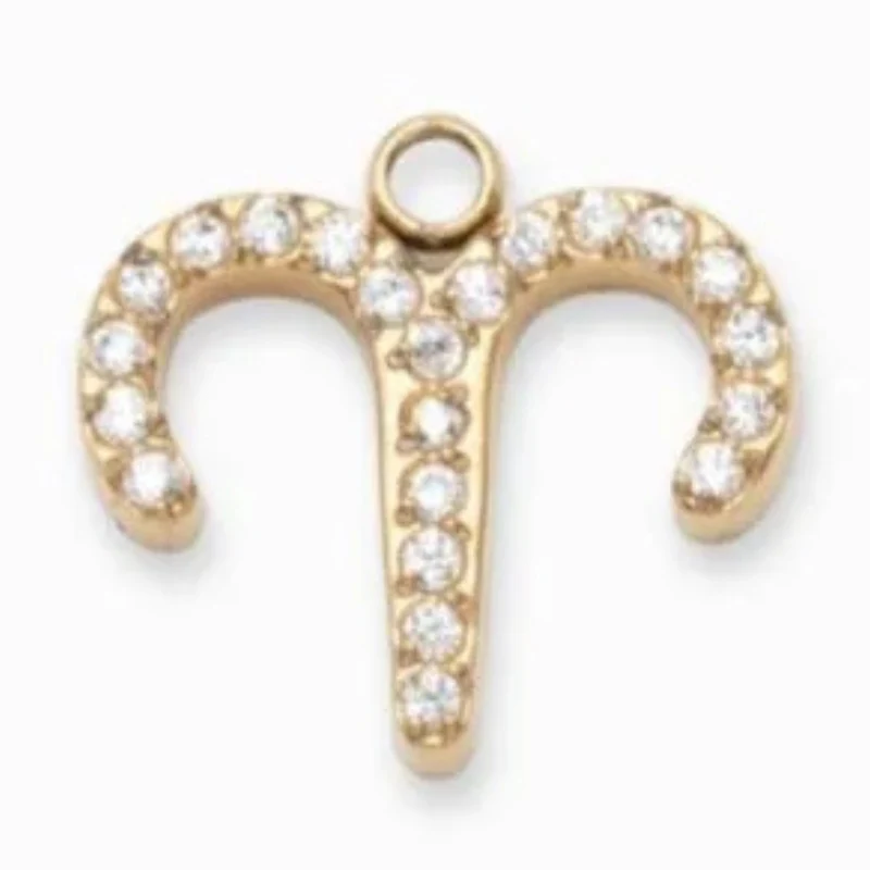 Charms "Signes astrologiques" acier