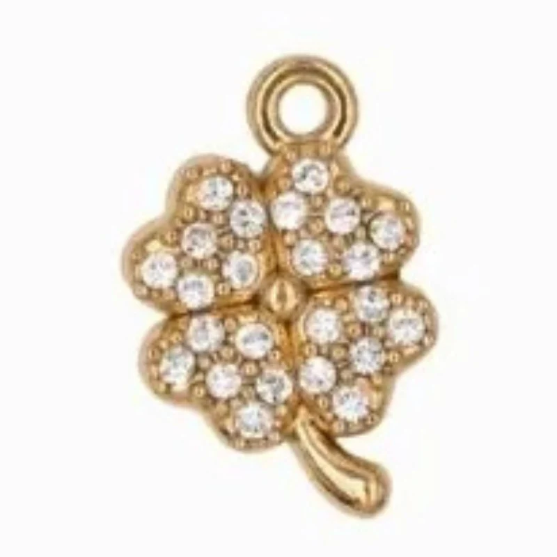 Charms divers acier