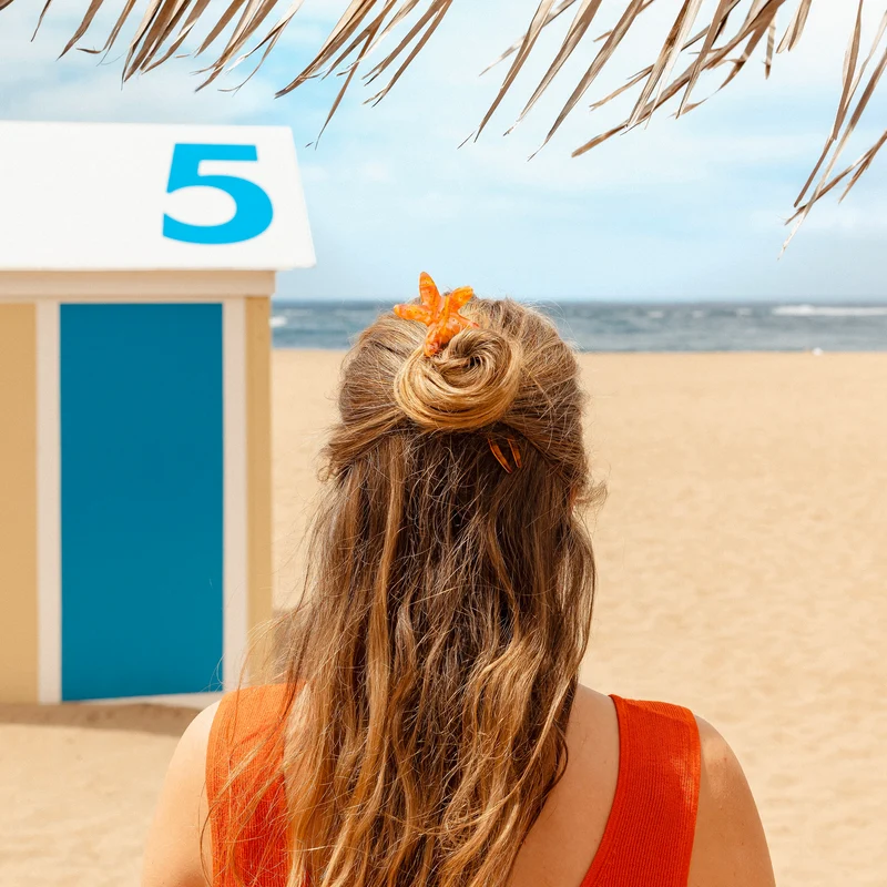 Pic à cheveux Étoile de Mer