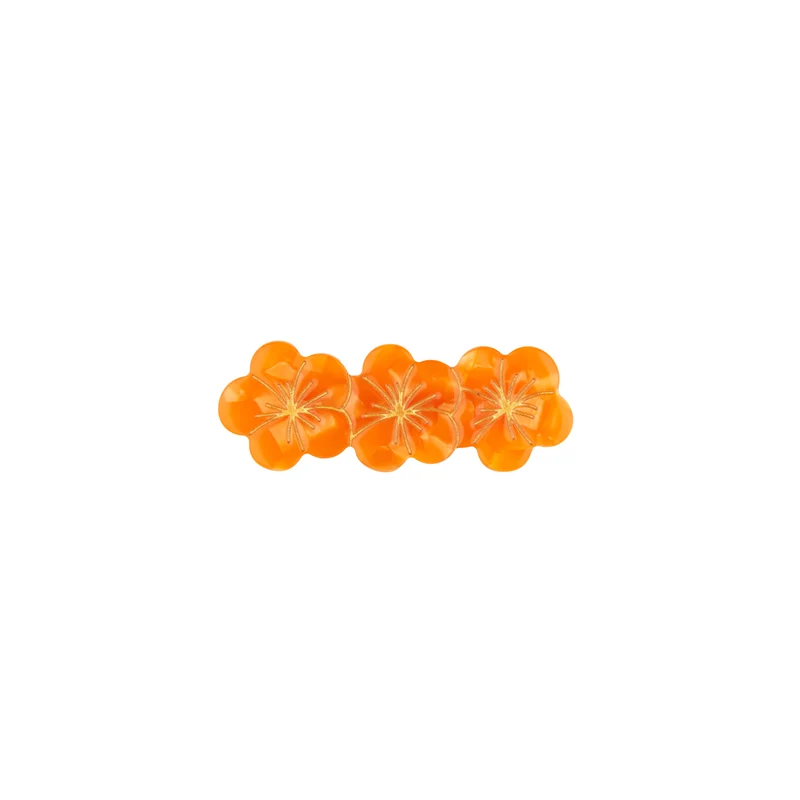 Barrette Capucine