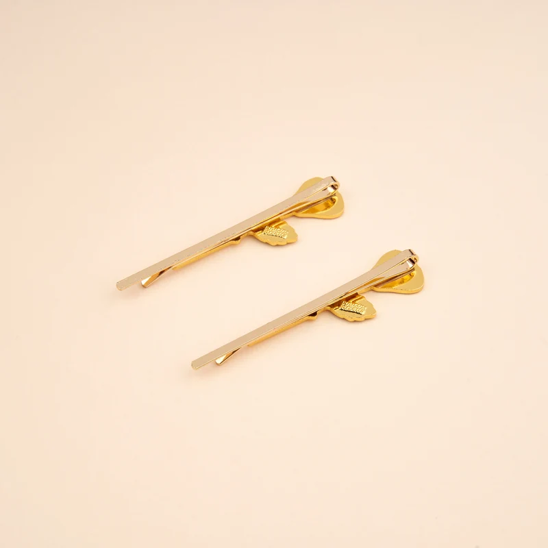 Duo Barrettes fines Roses