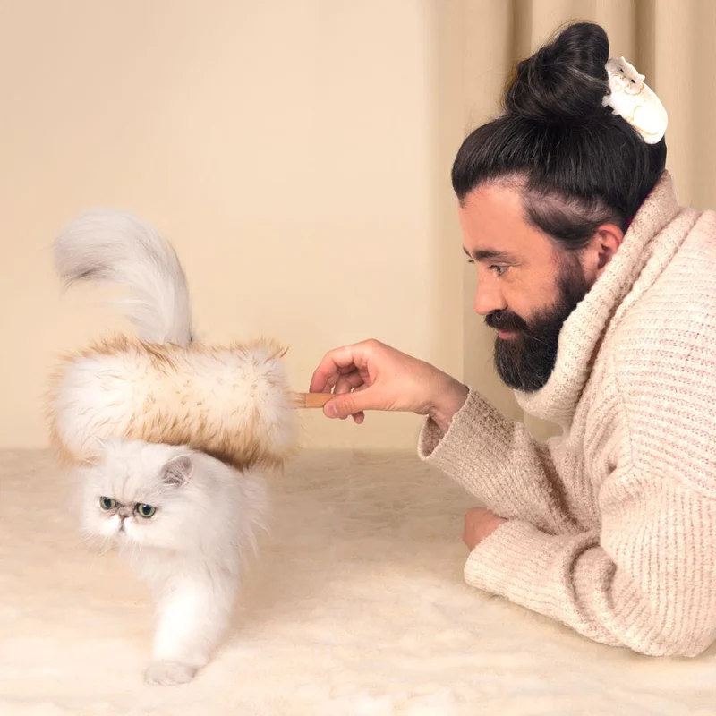 Pince à cheveux Chat Persan