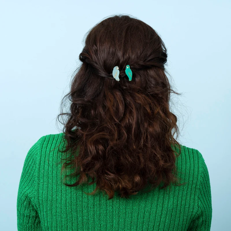 Duo barrettes Inséparables