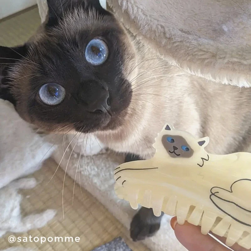 Pince à cheveux Chat Siamois