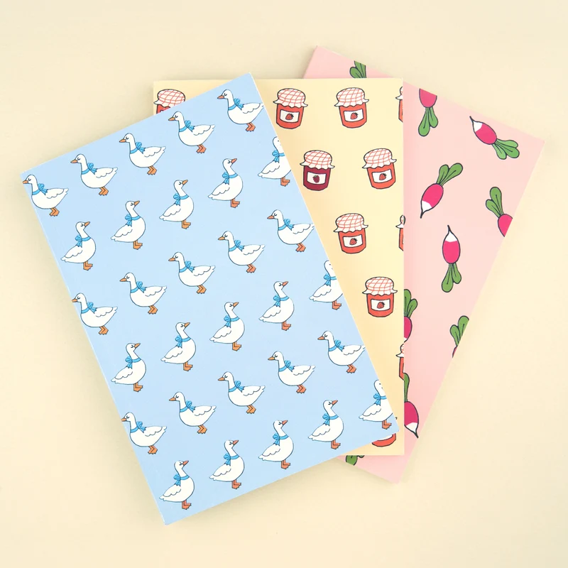 Lot de 3 carnets