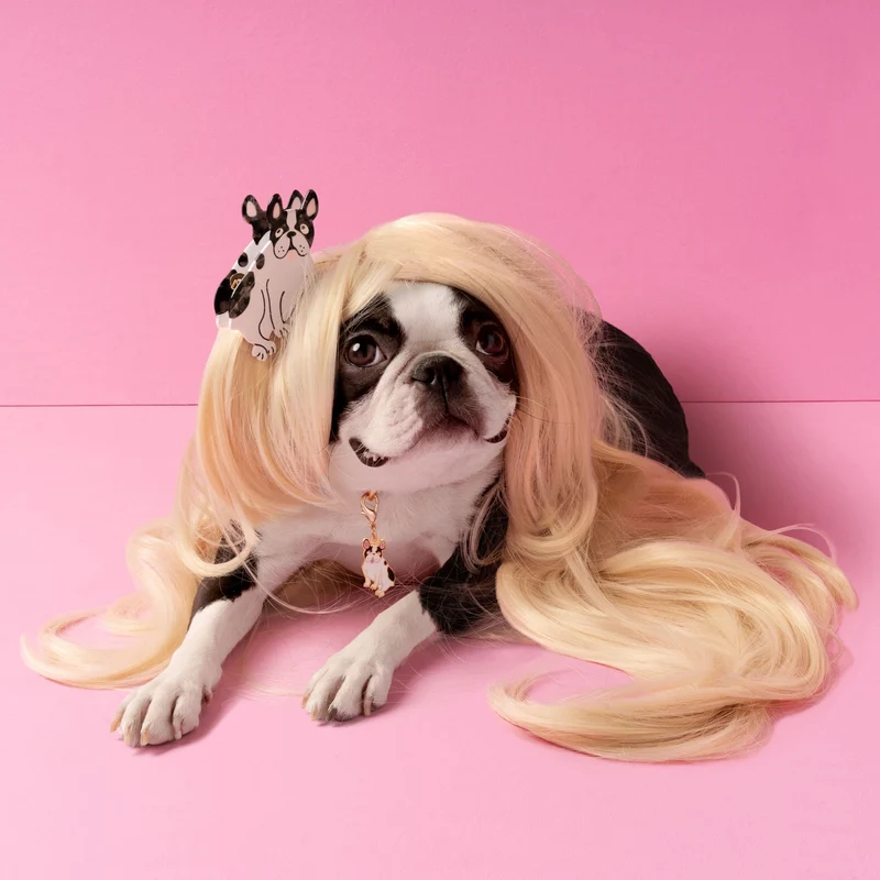 Pince à cheveux Bouledogue