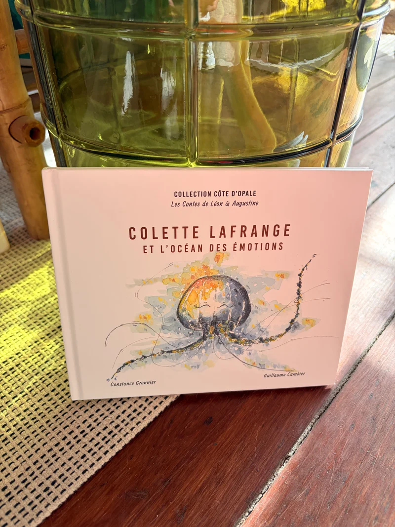 Tome 2 - Colette Lafrange et l'océan des émotions