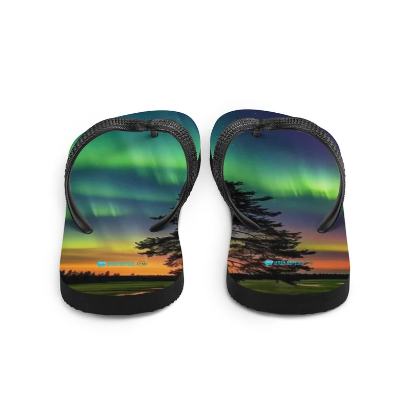 Flip-Flops