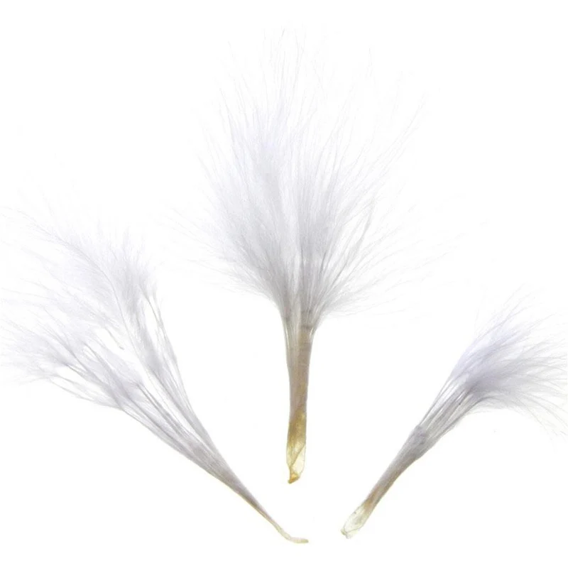 Plume d'autruche colorée (20 pièces)