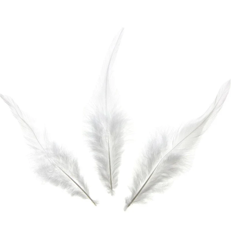 Plume d'autruche colorée GM (20 pièces)