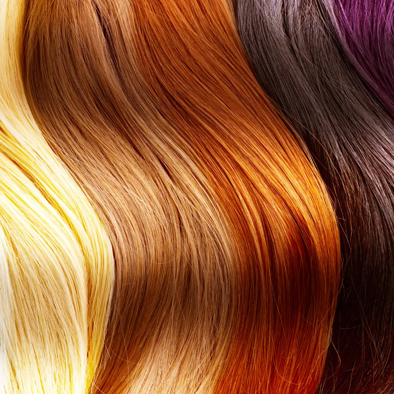 Ombre/mèche + couleur + coupe + brushing