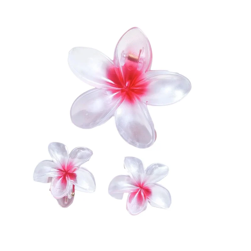 Pinces à cheveux - Fleurs d'Été Blancheur