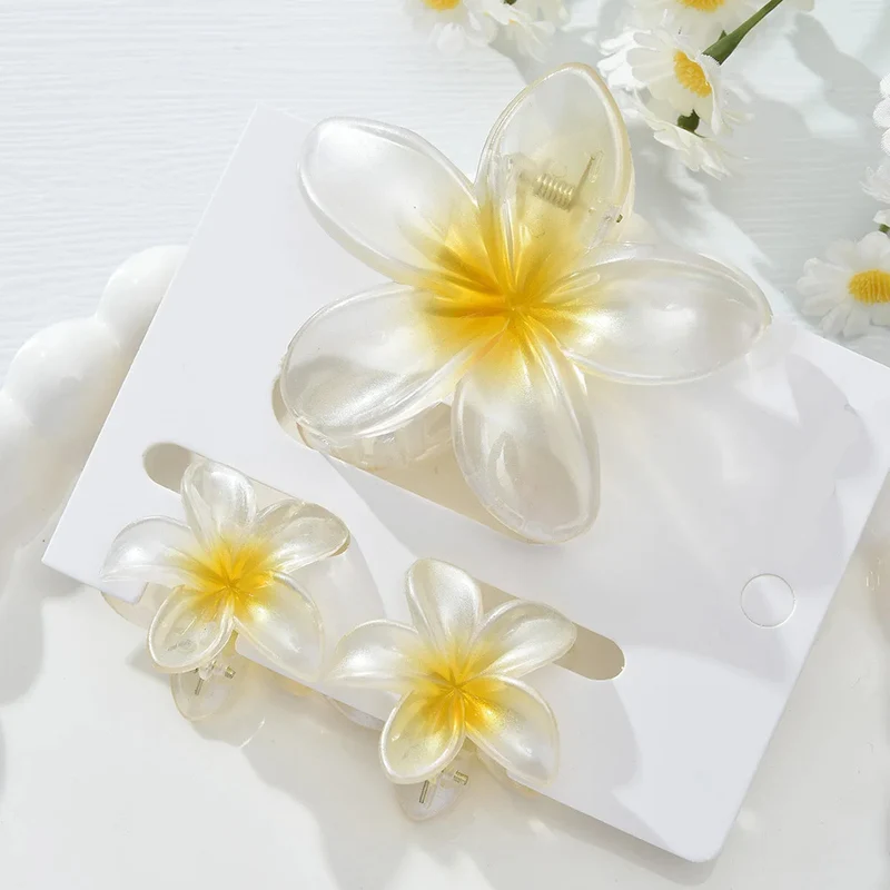 Pinces à cheveux - Fleurs d'Été Blancheur