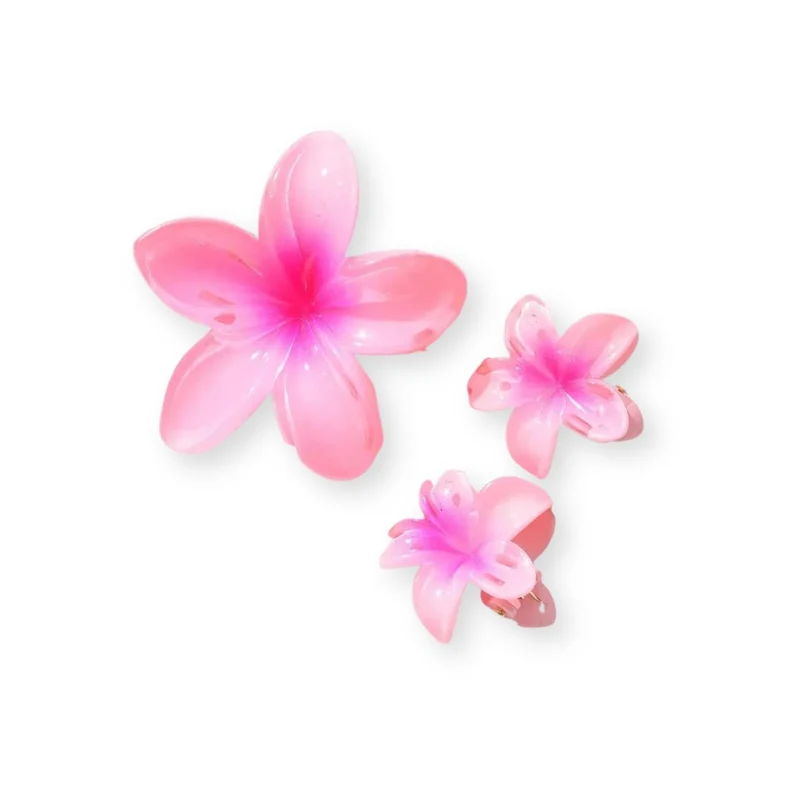 Pinces à cheveux – Fleurs d’Été