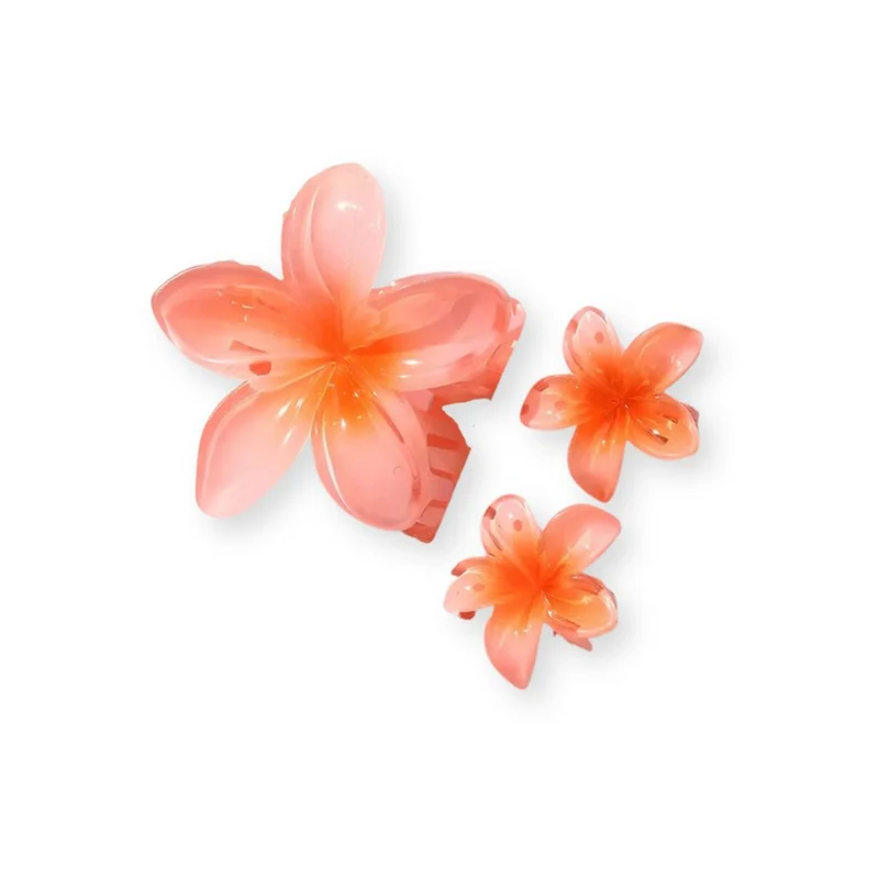 Pinces à cheveux – Fleurs d’Été