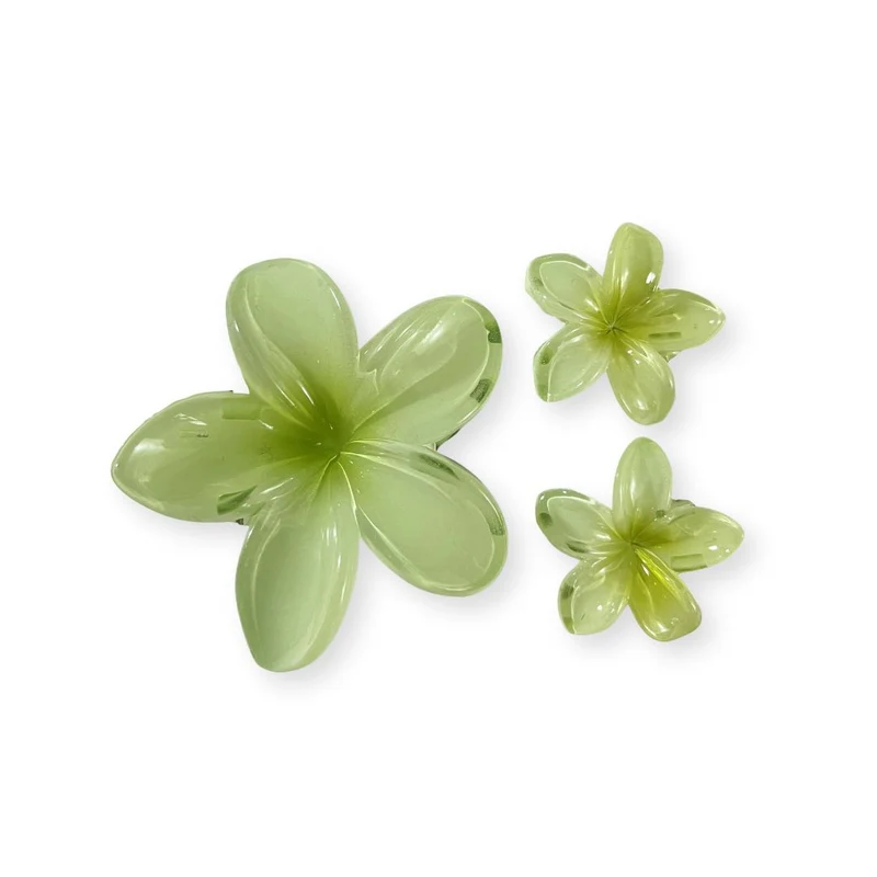 Pinces à cheveux – Fleurs d’Été