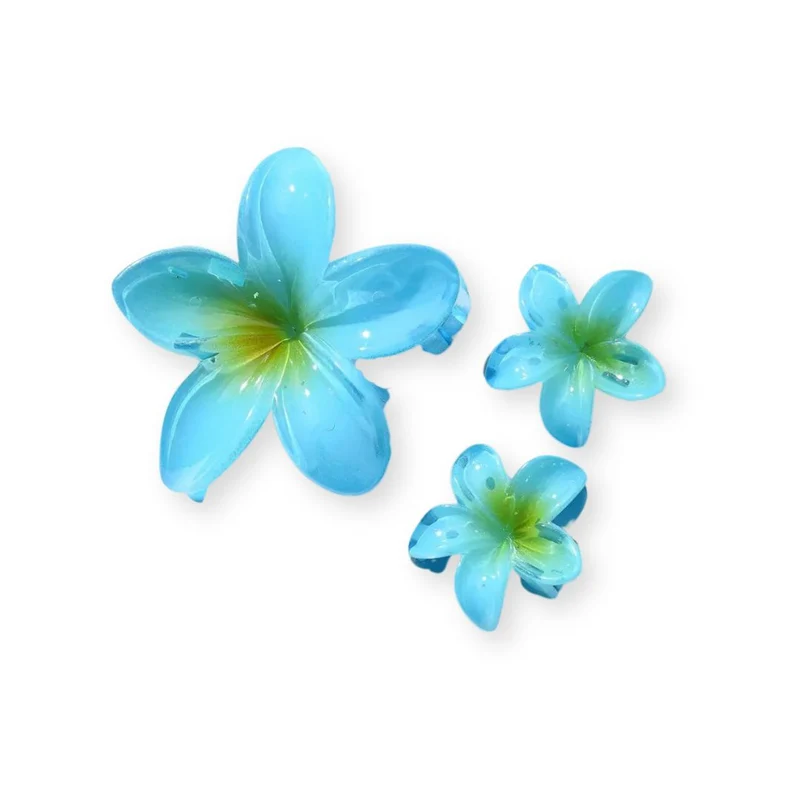 Pinces à cheveux – Fleurs d’Été