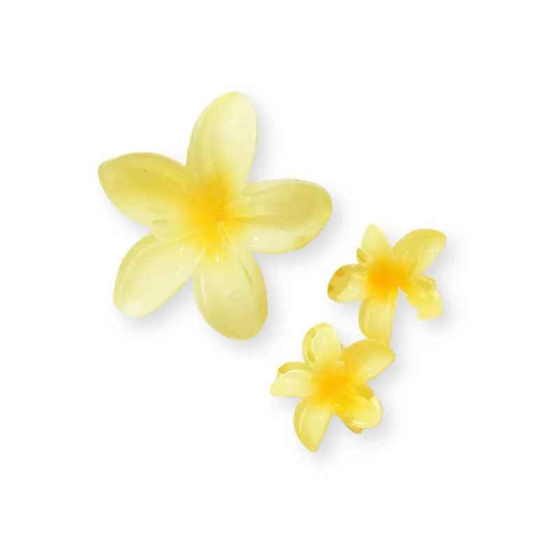 Pinces à cheveux – Fleurs d’Été