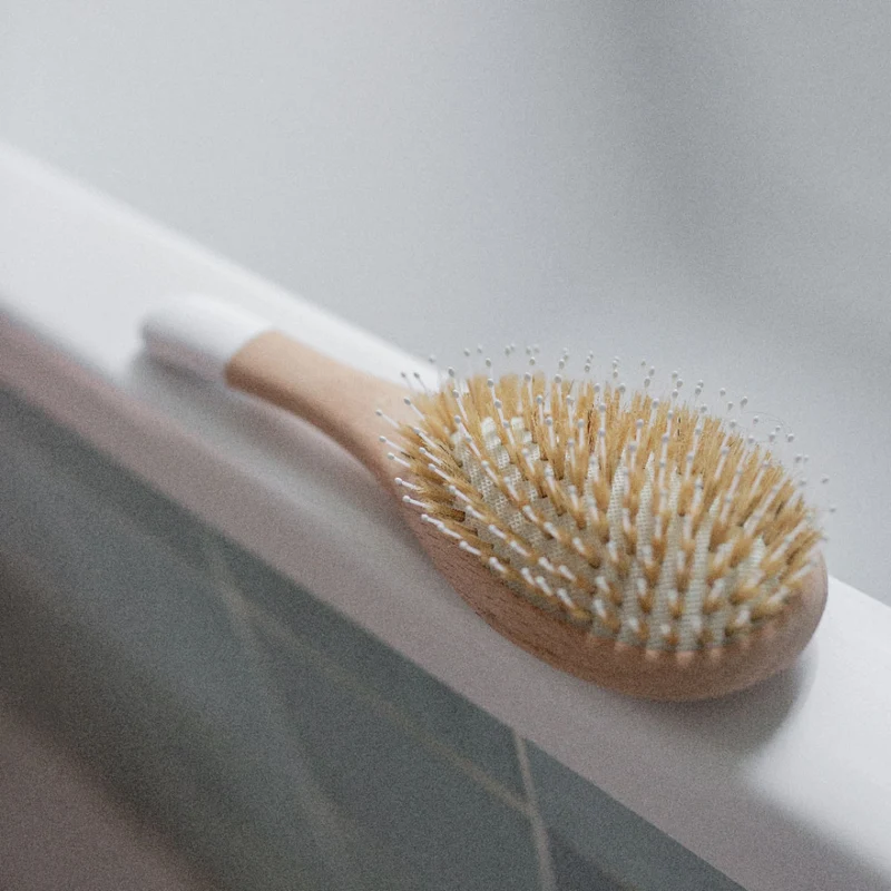 Brosse Démêlage et Brillance - Bachca