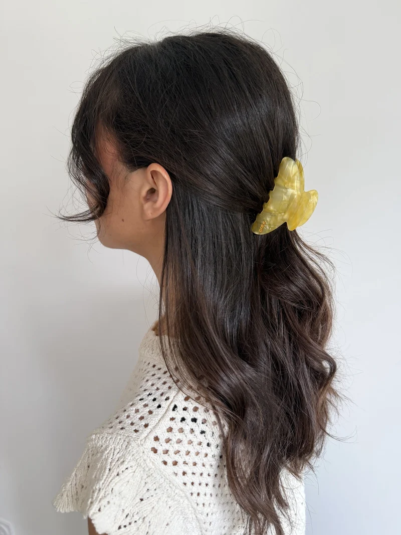 Pince Citron - Palett
