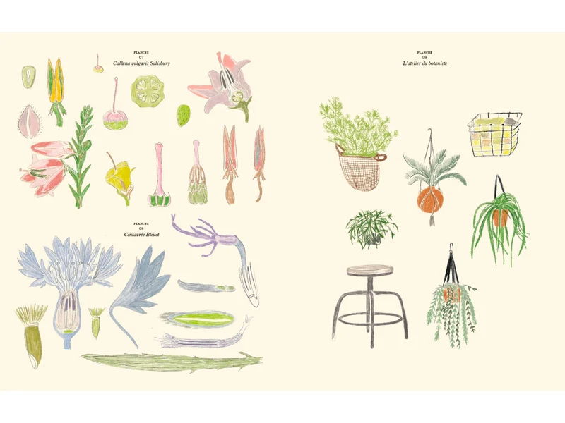 Le jardin carnet de coloriages - La Maison Hachette
