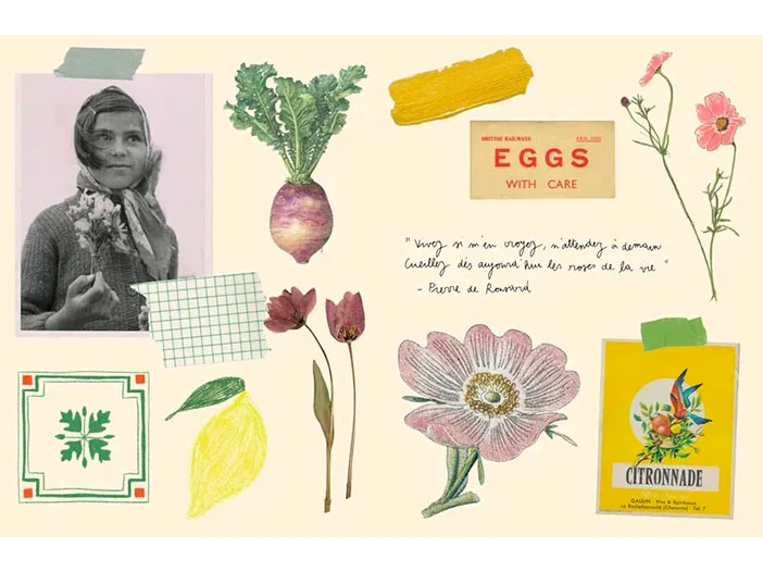Le bazar collection de stickers - La Maison Hachette