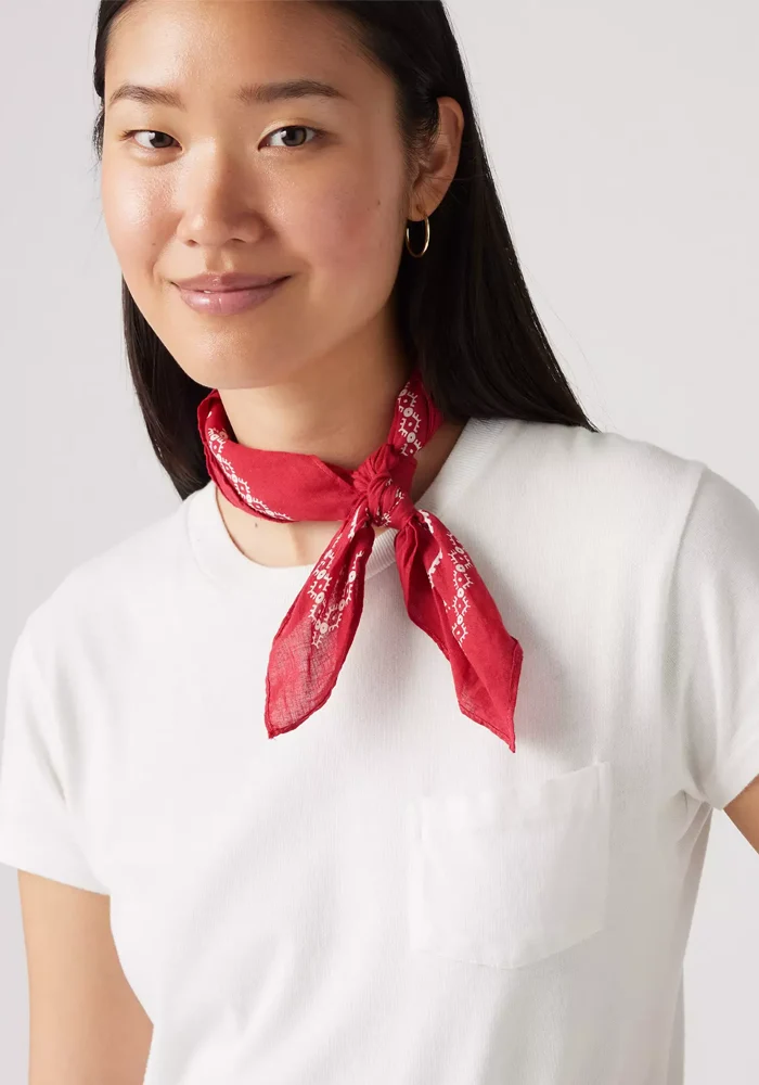 Bandana Paisley Rouge