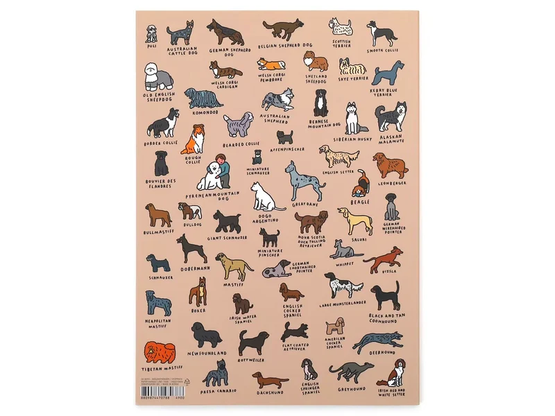 Carnets A5 Dictionnaire des Chiens - Zero per Zero