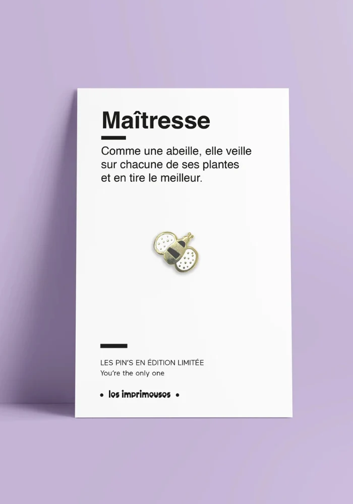 Pin's Abeille Maitresse