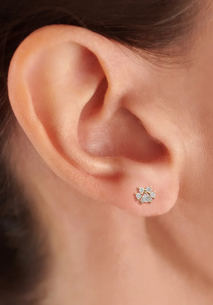 Boucle D'Oreille Patte De Chien