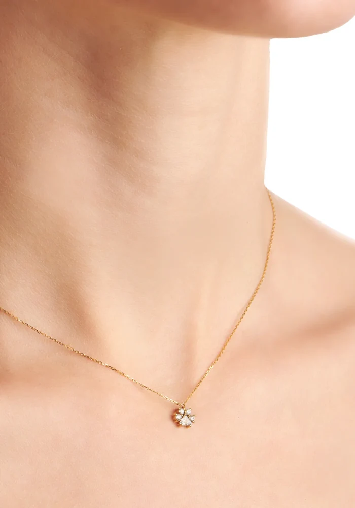 Collier Patte De Chien
