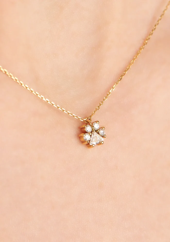 Collier Patte De Chien